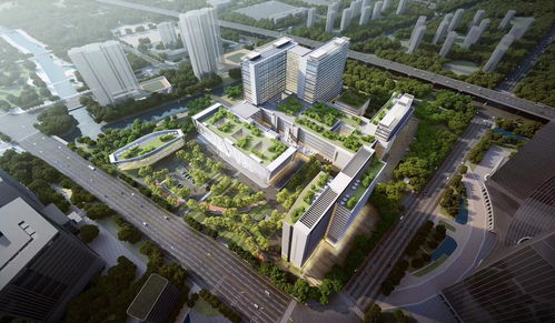 树兰医疗的 干细胞分裂 之路 从单体医院到多元发展的科技型医疗集团