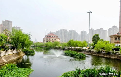 杭州湾新区 前湾新区 你可以韬光养晦 但亮剑的时候一定是骄傲的 王者
