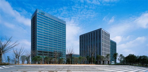 浙新携手聚焦头脑产业 杭州建起中国的 纬壹科技城