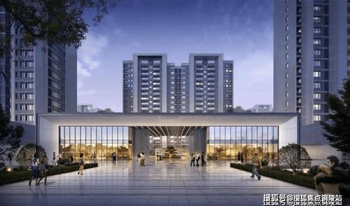 海盐 为啥这么吸引人 大家都看中以后发展了吗