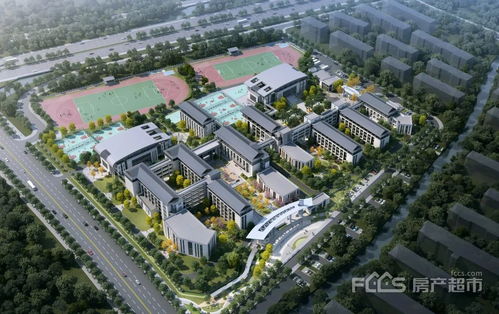 嘉兴大学附属实验学校来了 九年一贯制,位置就在