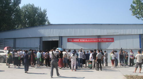 河南省 四优四化 科技支撑行动计划食用菌专项 平菇 双孢蘑菇工厂化生产新技术观摩交流会 成功召开
