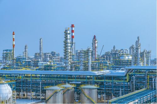 我国最大石化产业基地在宁波镇海全面建成