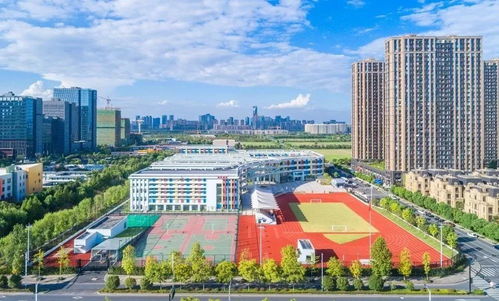 厉害丨萧山这所小学和浙大 科大讯飞合作,打造成为人工智能教育示范学校