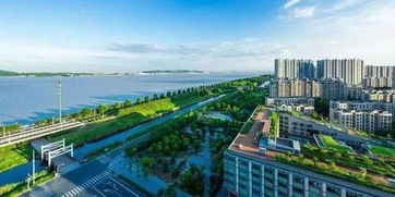 杭州要建一条环形马拉松跑道 31.3公里全览江河湖景