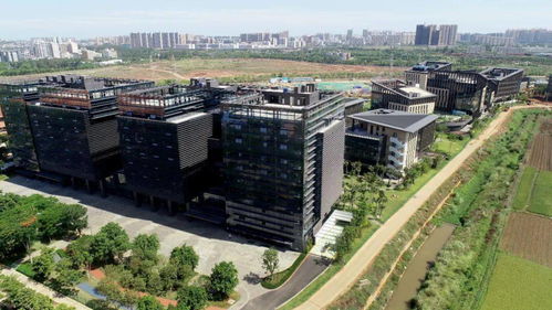 总体方案 发布后,海南自贸港11个重点园区迅速干了这些事